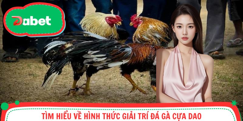 Đá Gà Cựa Dao - Đỉnh Cao Đam Mê, Nhận Thưởng Thoả Thích