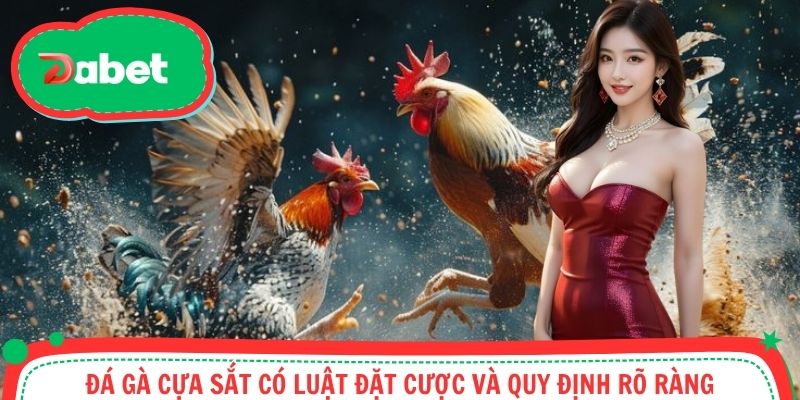 Đá gà cựa sắt có luật đặt cược và quy định rõ ràng