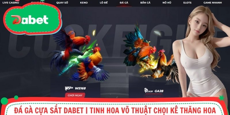 Đá Gà Cựa Sắt DABET | Nơi Tinh Hoa Võ Thuật Chọi Kê Thăng Hoa