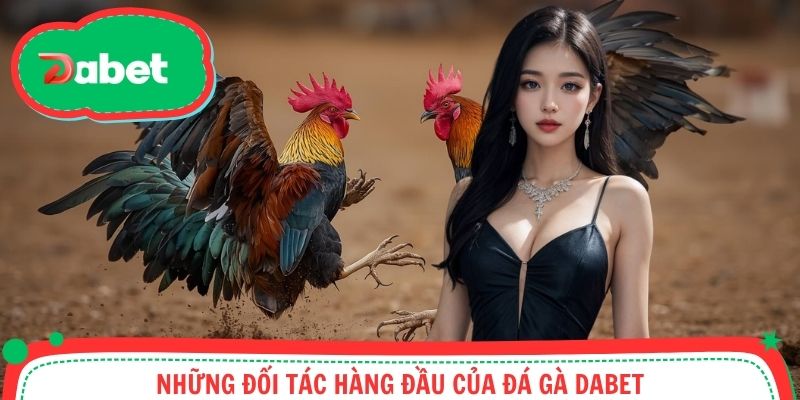 Đánh giá những đối tác hàng đầu có mặt trên website