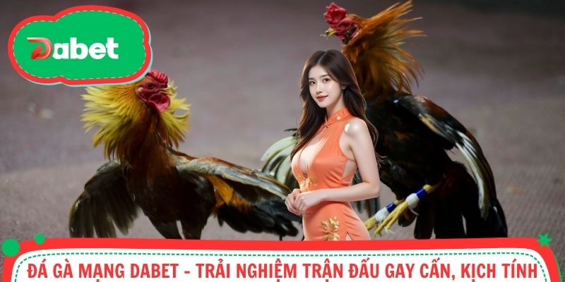 Đá Gà Mạng Dabet - Trải Nghiệm Trận Đấu Gay Cấn, Kịch Tính