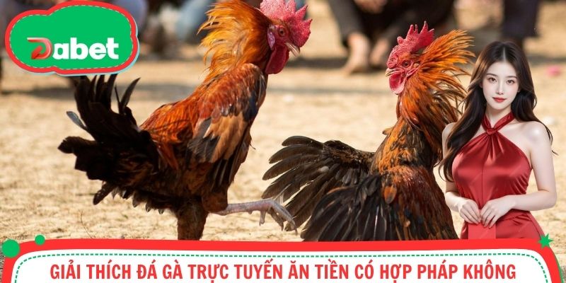 Giải thích đá gà trực tuyến ăn tiền có hợp pháp không