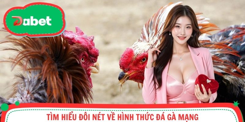 Tìm hiểu đôi nét về hình thức đá gà mạng