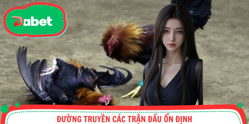 Đường truyền các trận chiến kê ổn định, không giật lag